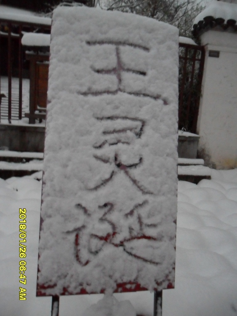 誕爸王堅替小可愛們向中華泰鬥鬥姆元君王景思~、西方和平豹善豹吉祥豹耶穌王豹男~、中華擎天柱離不開的牽牛花觀世音菩薩王梅酷~、......祈福! Sam_4622