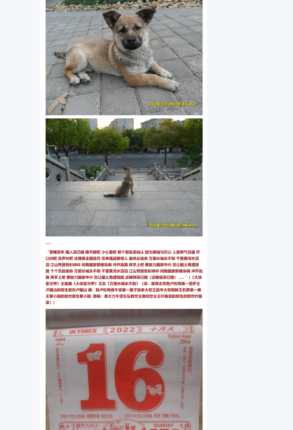 《哈爾濱觀世音菩薩王趙文卓一招星星點穴,啊,創世主矬牛嫁5555;你和我的傾城時光菩薩王伯昭君一招水收,啊,哭泣聲絕無意義》它不會扭轉分開的心意 夢似是失去收結一首詩 仿彿聽別人故事 今天我豈可關心多一次 .....{《幾分傷心幾分癡》(詞:敢愛敢做刮創世矬牛毛大帝潘偉源君的前生前世潘偉源 曲:忘了你忘了我剮矬牛嫁大帝王文清君的前生前世王文清 原唱:廚牛王菩薩王傑君的前生前世王傑)} 寰宇三大壞蛋是日皆生不如死,.....——誕定 引子:《能讓趙文卓「委屈」10年,當年的港圈到底有多黑(圖)》 新聞 Sv10