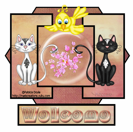 WELCOME BARB  Fd025a10