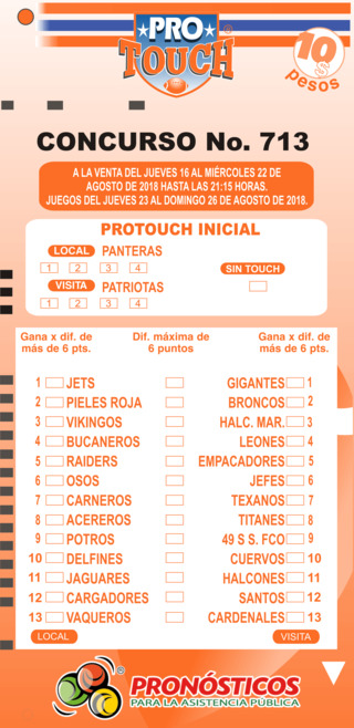Protouch 713 71310