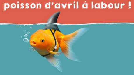 B- PRÉSENTATION DE FRATRIES DE CENTENAIRES Poisso10