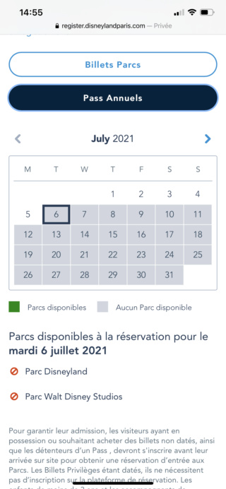 Pass Annuels et réouverture de Disneyland Paris pendant la pandémie de COVID-19 (2021-2022) 51e7fa10