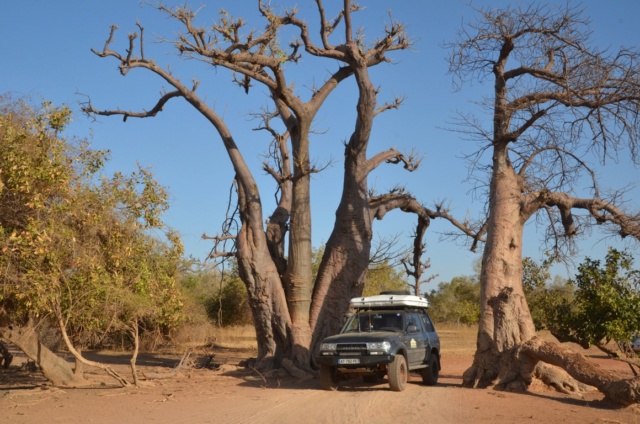 Raid en Afrique de l'Ouest -Trans Baobab Dsc_0313