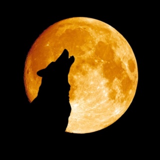 Wiccan Spell a Night: Wolf Moon Image17