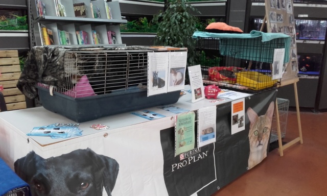 Week end adoption à la Jardinerie de Fontenay le 18 et 19 Mai 2019  20190521