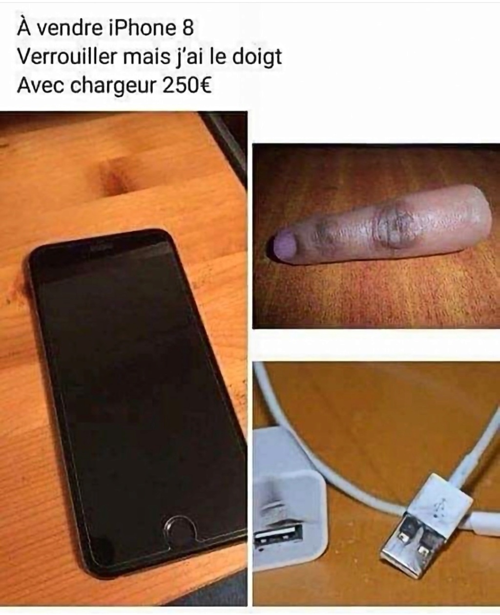 Humour en image du Forum Passion-Harley  ... - Page 9 50843310