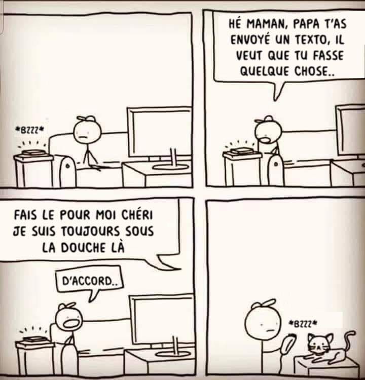 Humour en image du Forum Passion-Harley  ... - Page 22 67768010