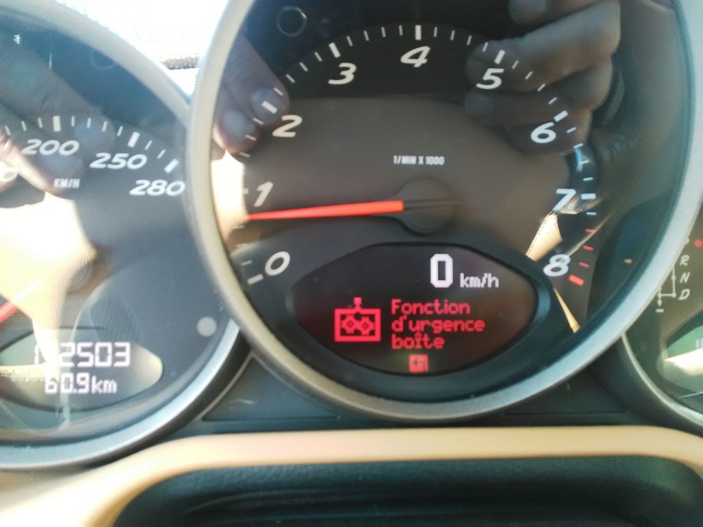 Calculateur boîte PDK Cayman 2,9L 2009