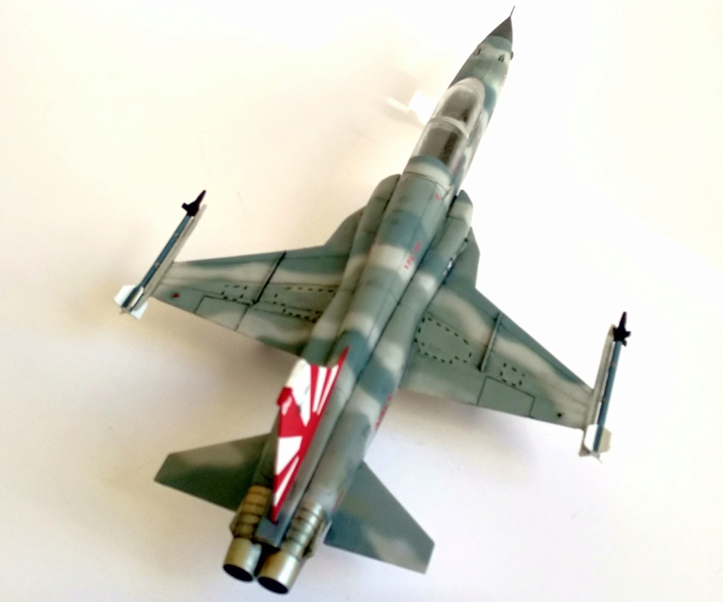 F-5F aggressor, (Revell 1/48) Foto_228