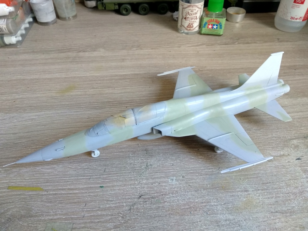 F-5F aggressor, (Revell 1/48) Img_2040