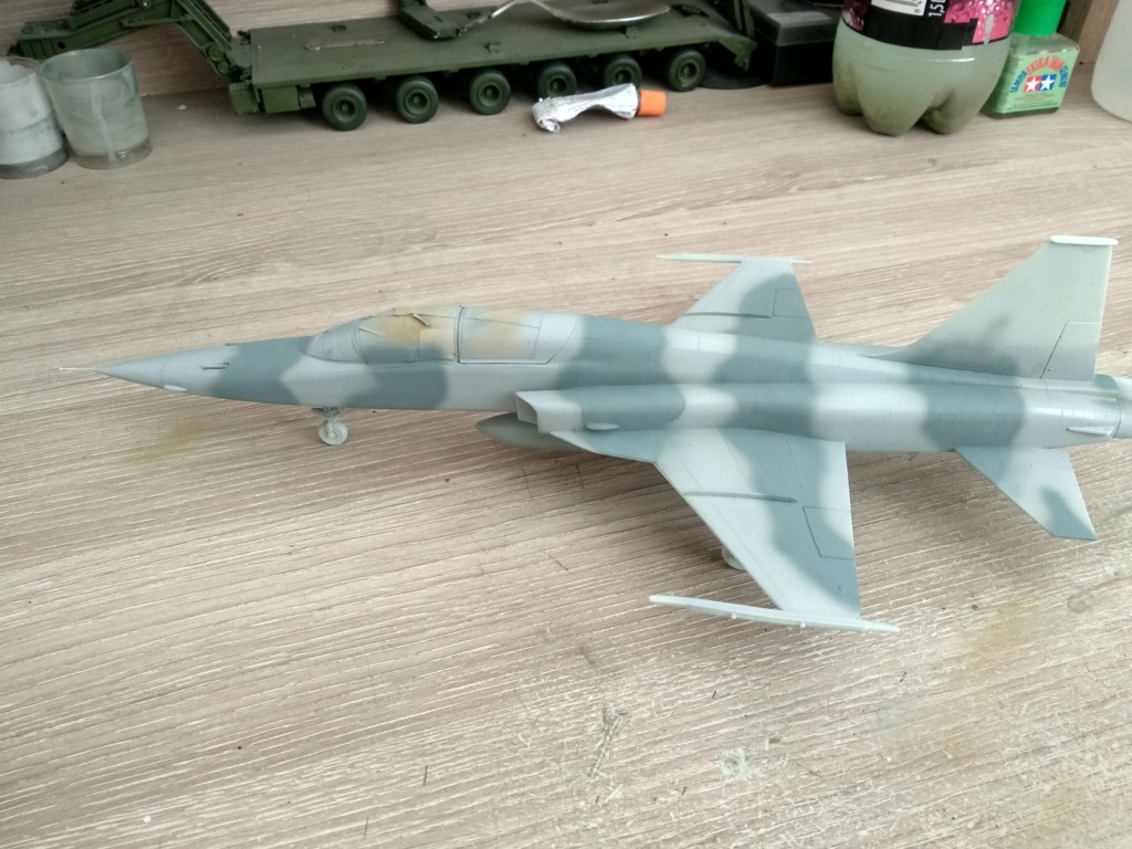 F-5F aggressor, (Revell 1/48) Img_2042