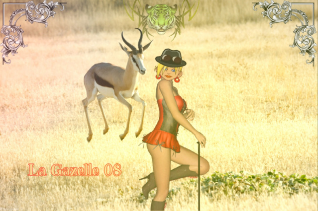 SAFARI.2 Lagaze10
