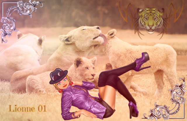 SAFARI.2 Lionne14