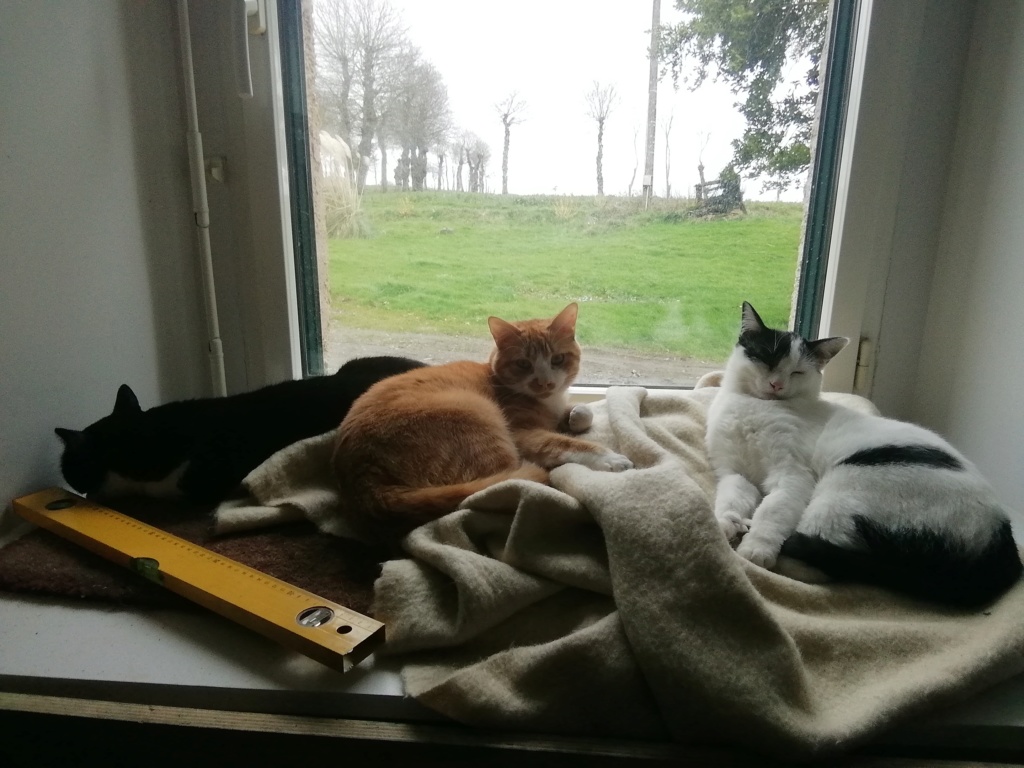 TIKY Img_2020