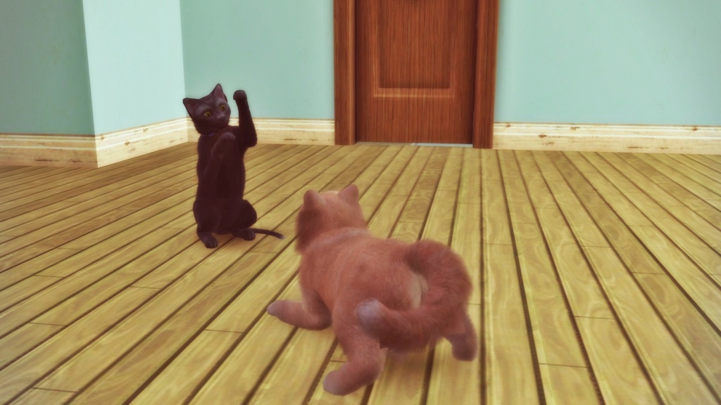 Fotos divertidas de algunos sims varios 5210