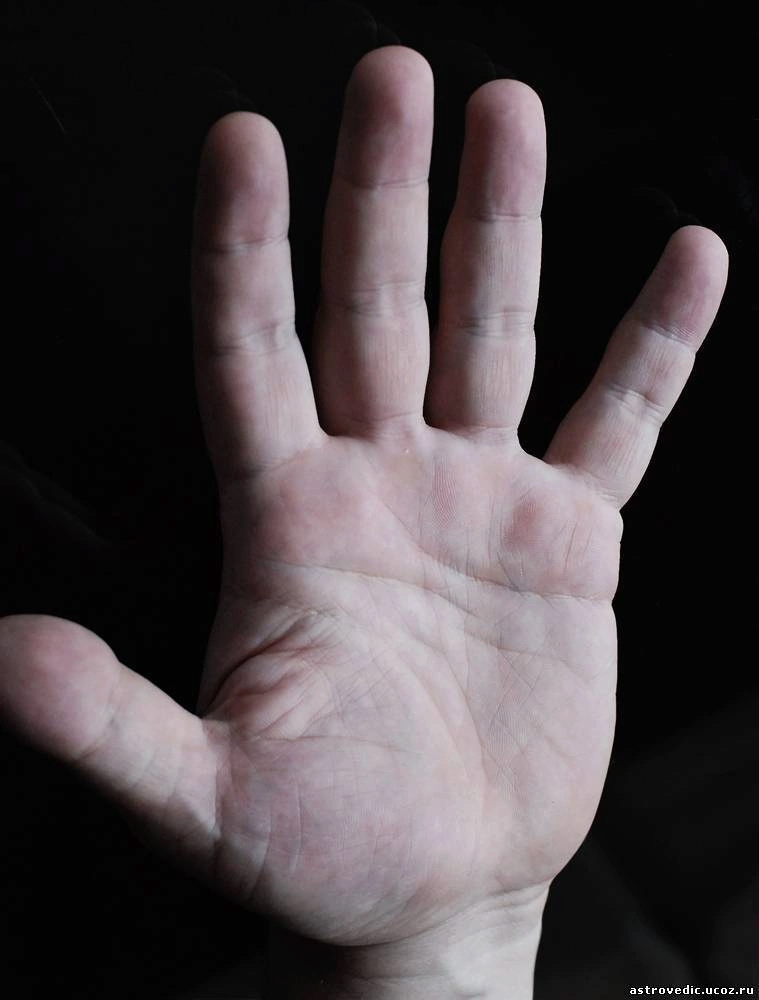 Характеристика типа личности по знакам руки Fdqfol10