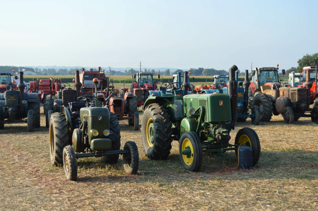 Ma petite collection... Dsc_0110