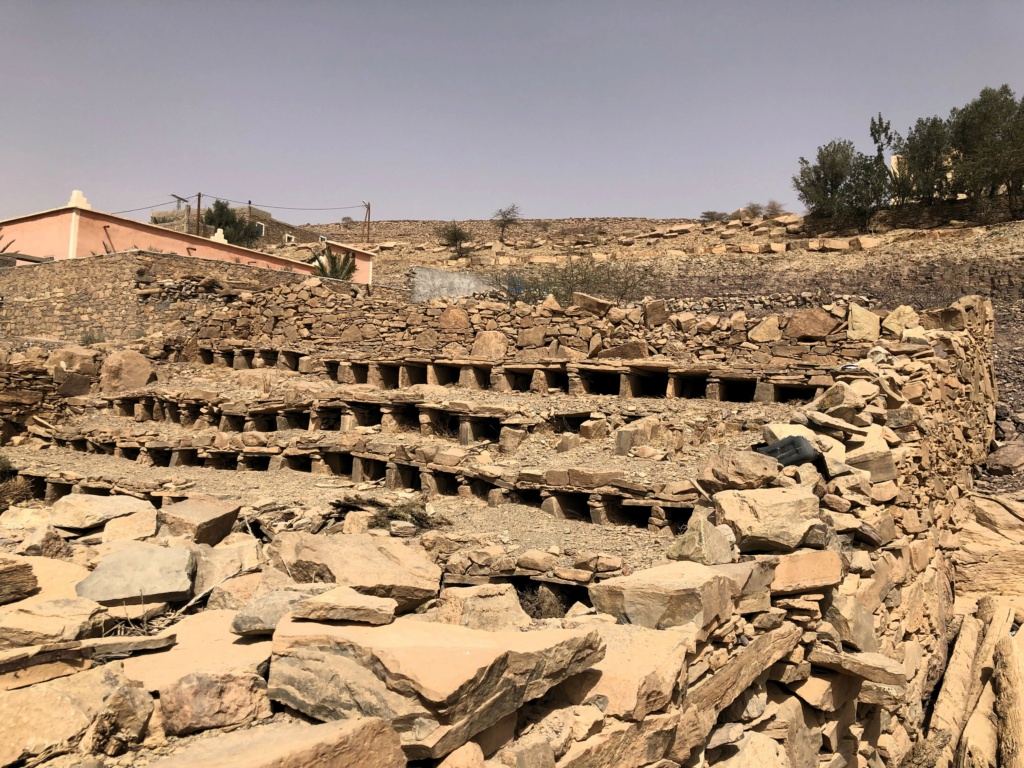Maroc: visiter les greniers collectifs au Sud de l'Atlas Img_7514