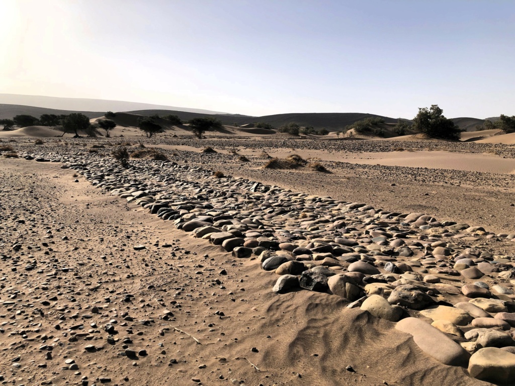Archéologie et préhistoire au Maroc  Img_7612