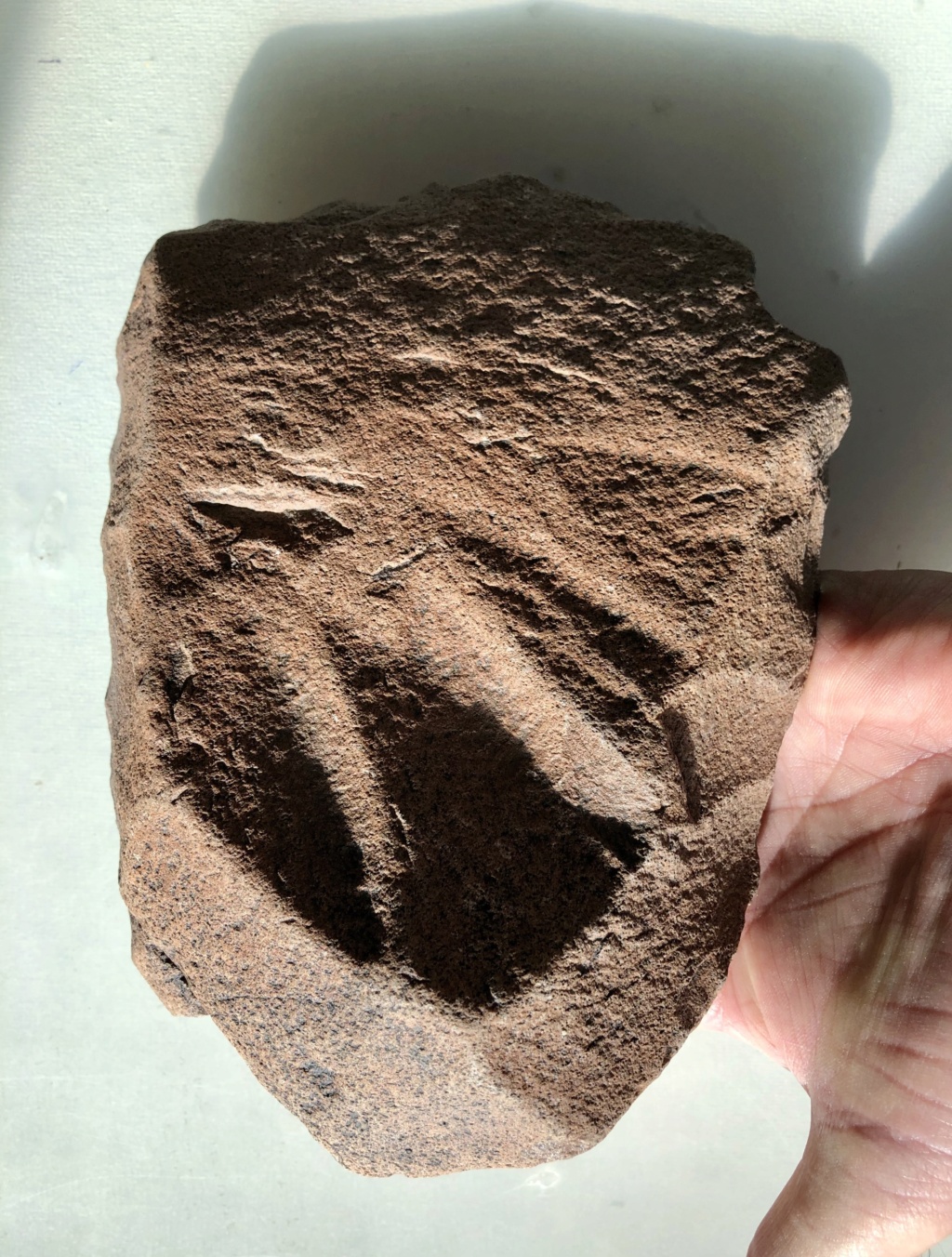 Archéologie et préhistoire au Maroc Img_e240