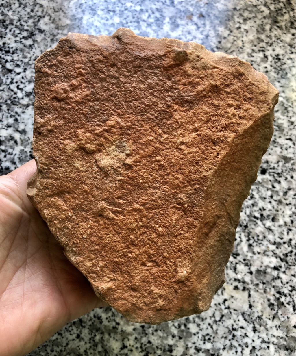 Archéologie et préhistoire au Maroc Img_e366