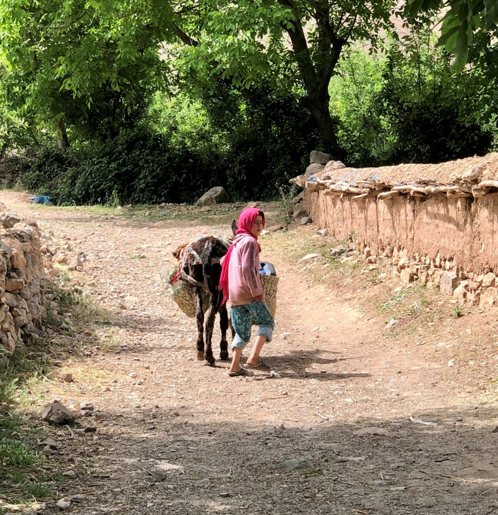 road trip au Maroc: vers le Haut Atlas central et le Parc de M'goun Img_e660