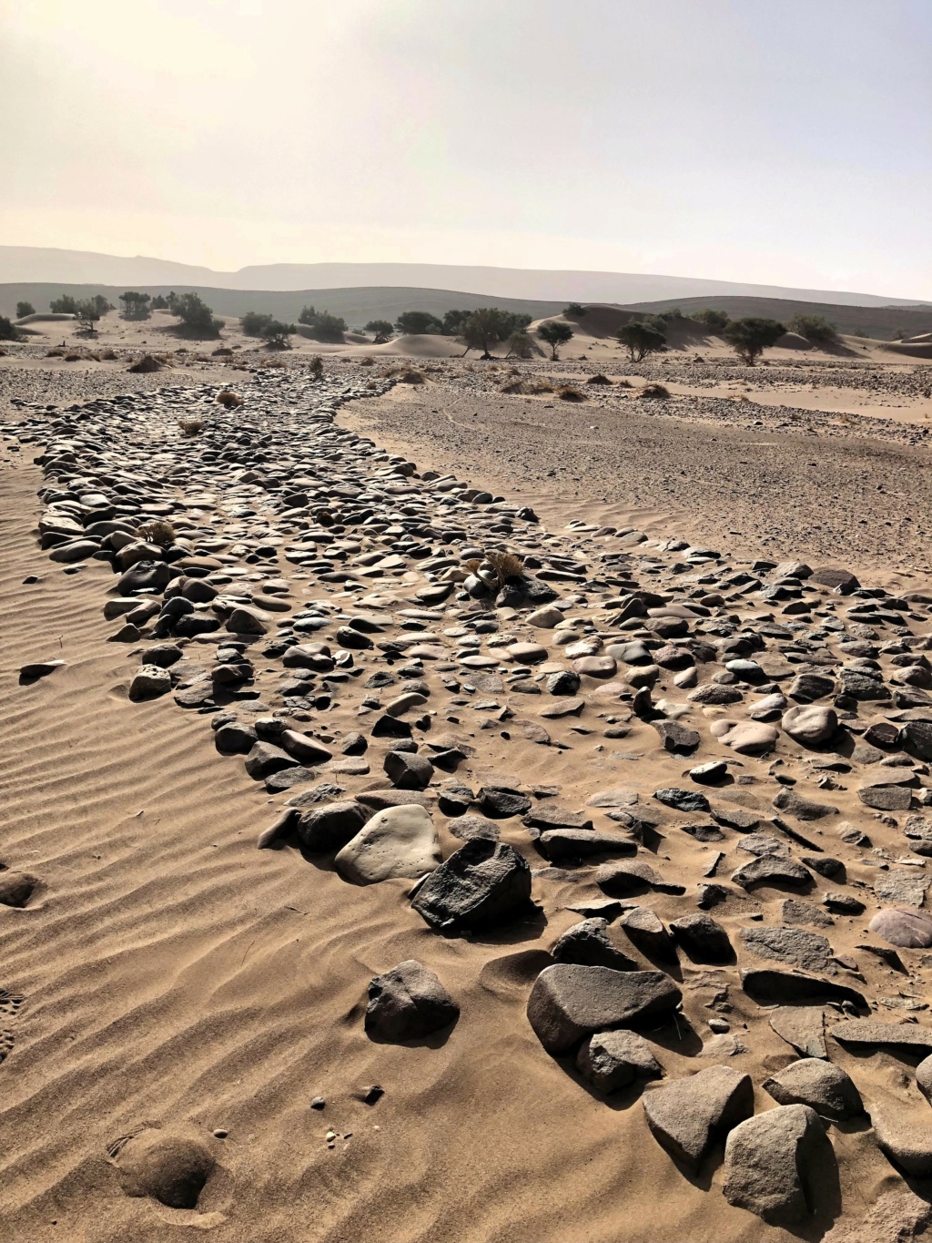 Archéologie et préhistoire au Maroc  Img_e733