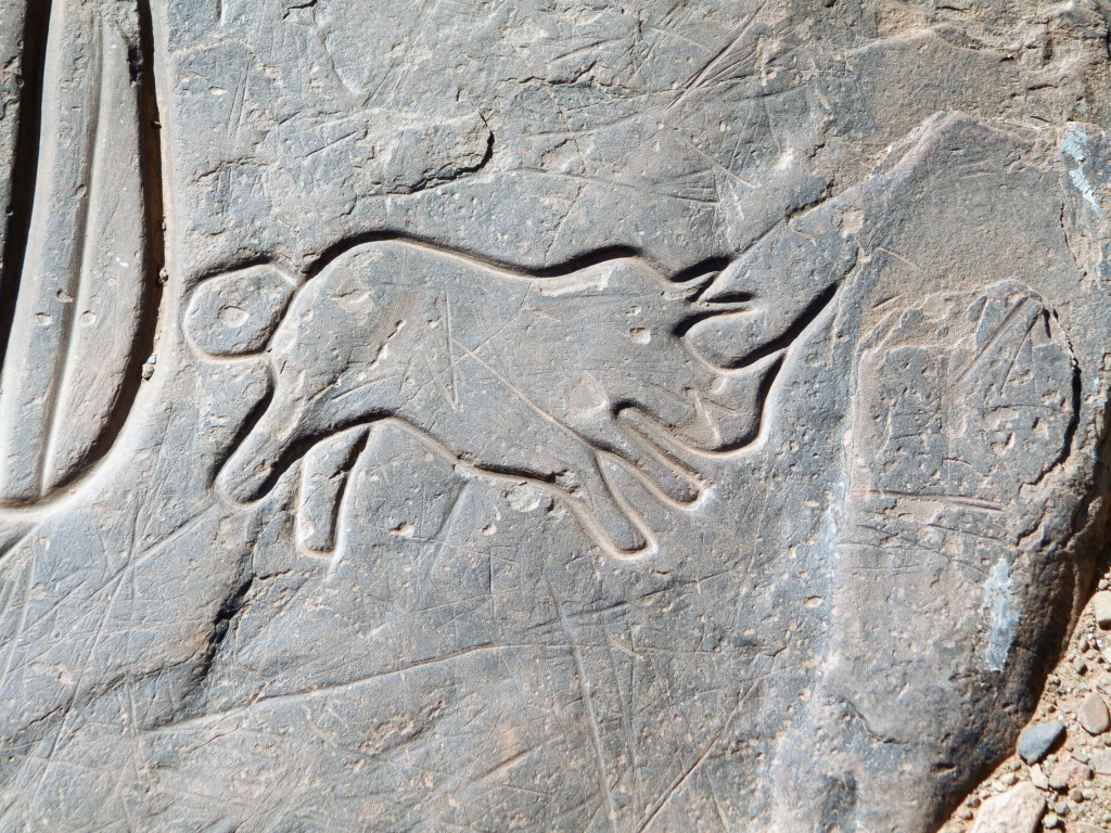 Archéologie et préhistoire au Maroc P2251310