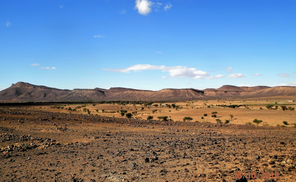 Archéologie et préhistoire au Maroc Pa280610
