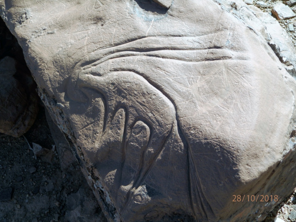 Archéologie et préhistoire au Maroc Pa280613