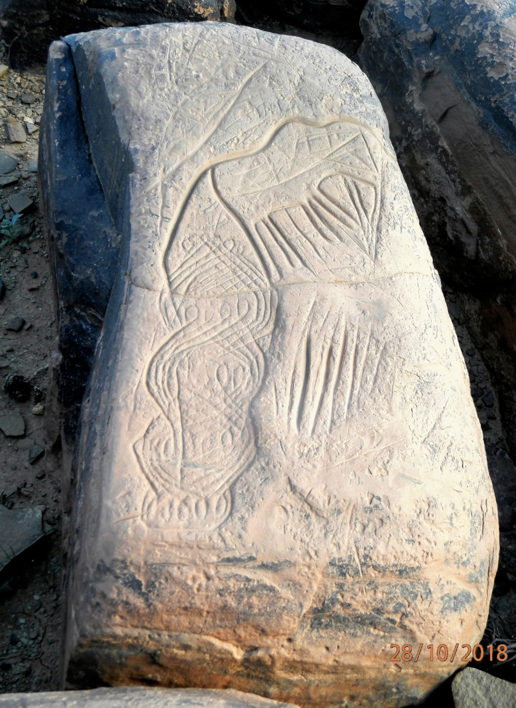 Archéologie et préhistoire au Maroc  Pa280614