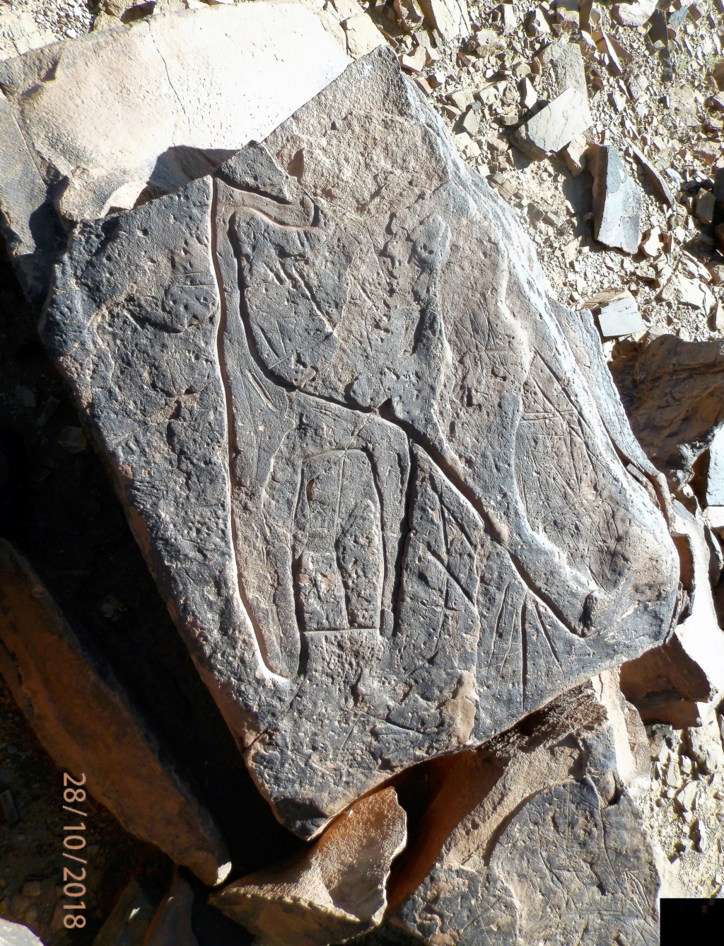 Archéologie et préhistoire au Maroc  Pa280615