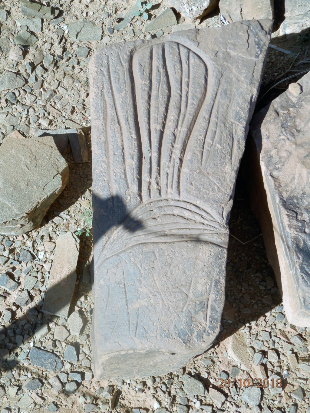 Archéologie et préhistoire au Maroc Pa280618