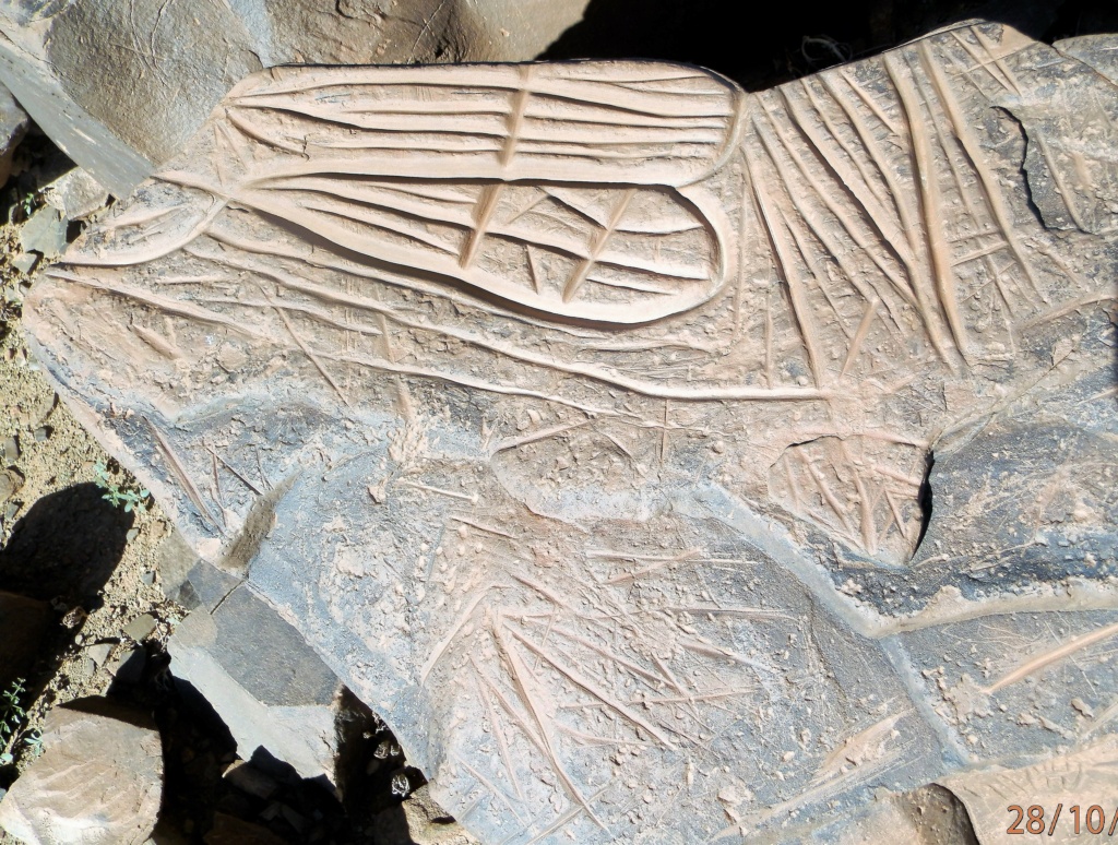 Archéologie et préhistoire au Maroc Pa280619