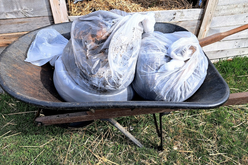 Compost bins:  Open vs. closed Bagged10