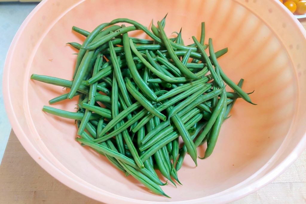 N&C Midwest: September 2022 Beans10