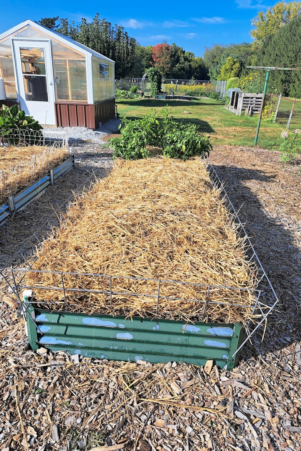 Closing beds for winter Raised20