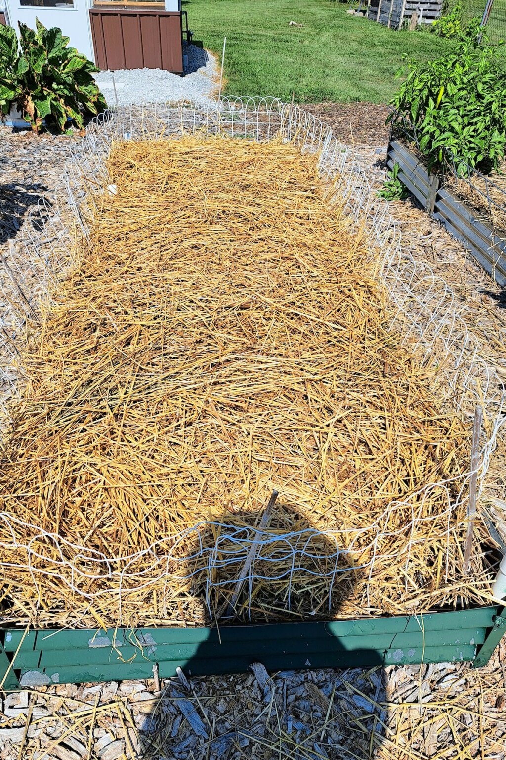Closing beds for winter Straw_10