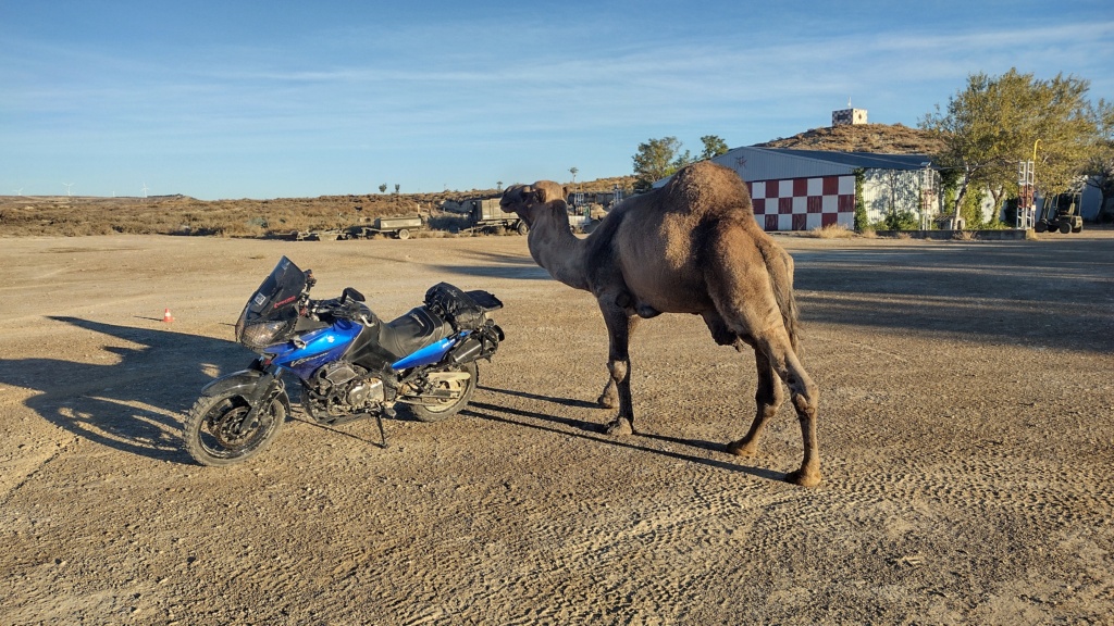 Quelle moto pour balade Marocaine ? - Page 2 Img_2026