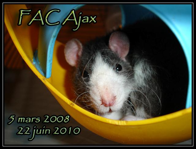 FAC Ajax [5 mars 2008 - 22 juin 2010] Ajax_s12