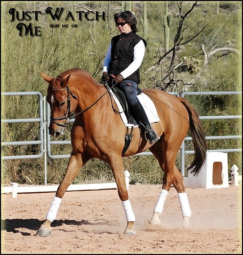 Just Watch Me •• Einsiedler J Saddle11