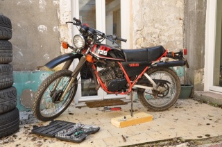 DTMX 125cc Membres / Mod. 1986 Dsc05310