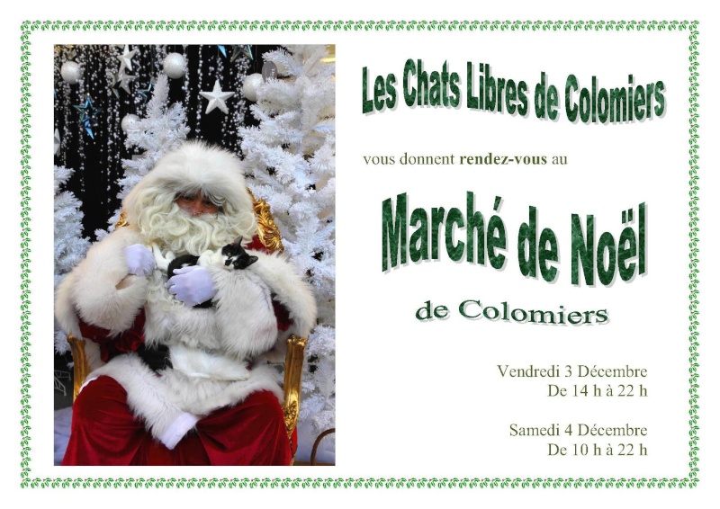 Marché de Noël de Colomiers, 3 et 4 décembre 2010 Marcha11