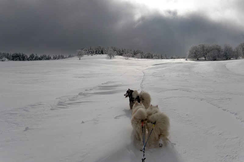 Saint - Urcize P2070021