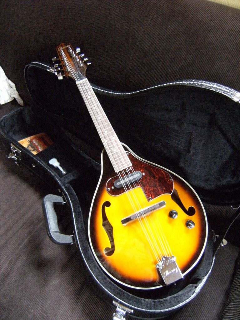 Cherche mandoline bluesgrass Dscf3910