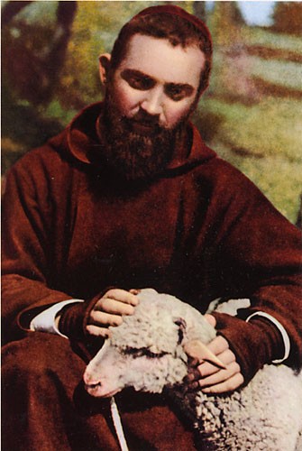 Saint Padre Pio 13602410