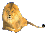 Le ..roi lion... Gifs-511