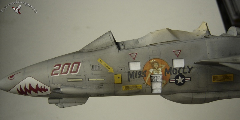 [HASEGAWA] 1/48 - GRUMMAN F-14A TOMCAT  - Page 7 Dsc01224