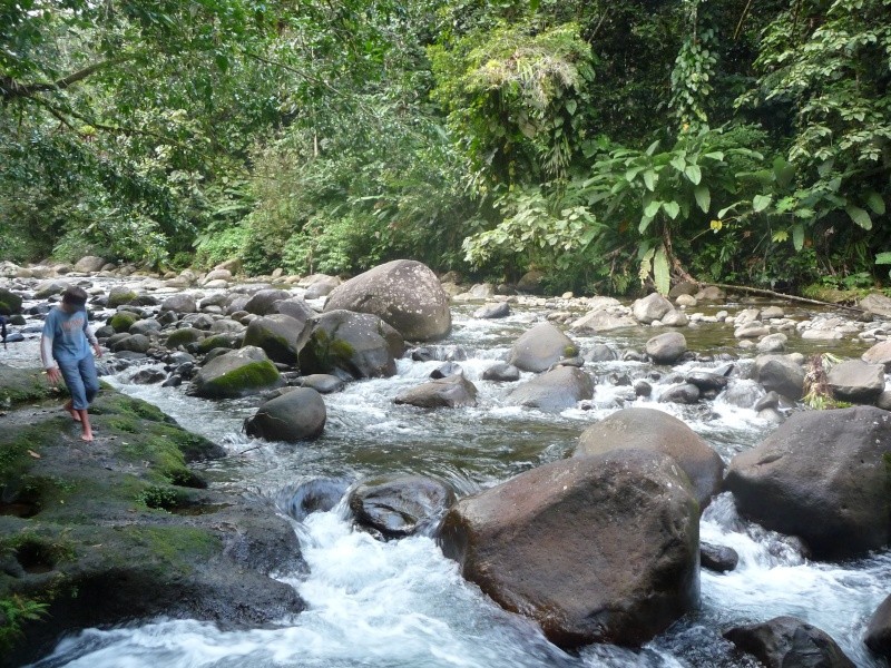 Photos de Guadeloupe Guadel68