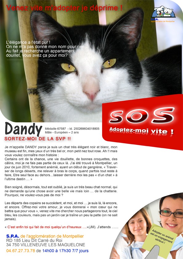 SOS DU MOIS DE MARS 2011 - DANDY Sos_da10